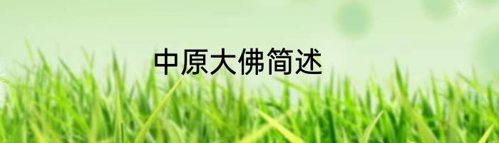 中原大佛简述