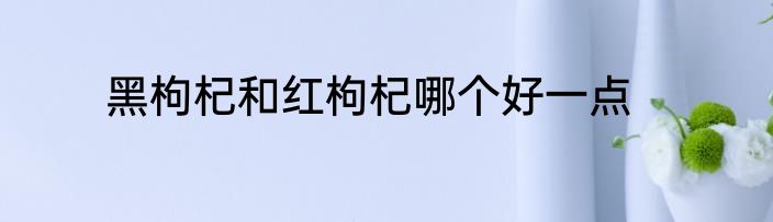 黑枸杞和红枸杞哪个好一点