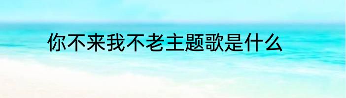 你不来我不老主题歌是什么