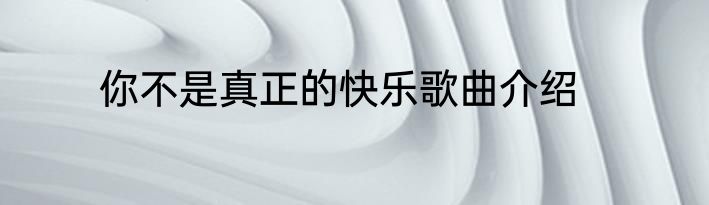 你不是真正的快乐歌曲介绍