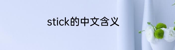 stick的中文含义