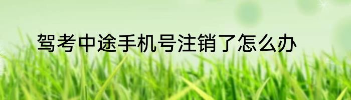 驾考中途手机号注销了怎么办