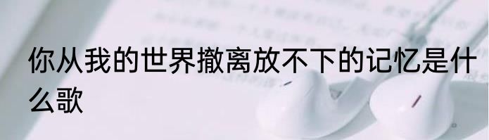 你从我的世界撤离放不下的记忆是什么歌