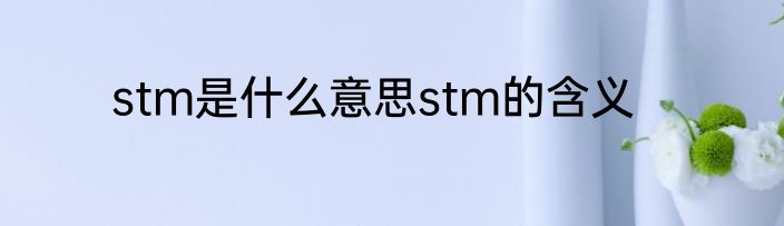 stm是什么意思stm的含义