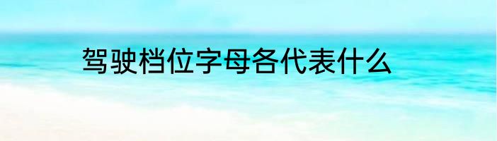 驾驶档位字母各代表什么