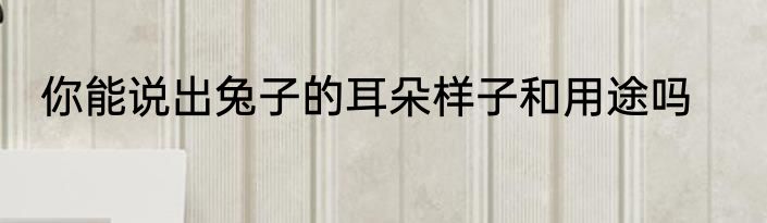 你能说出兔子的耳朵样子和用途吗