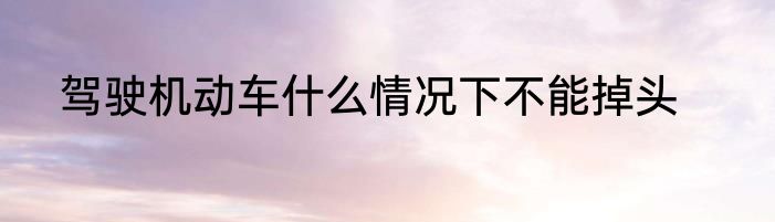 驾驶机动车什么情况下不能掉头