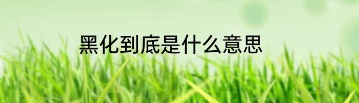 黑化到底是什么意思