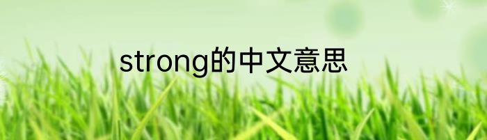 strong的中文意思