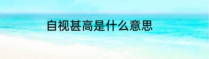 自视甚高是什么意思