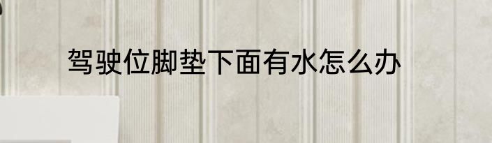 驾驶位脚垫下面有水怎么办