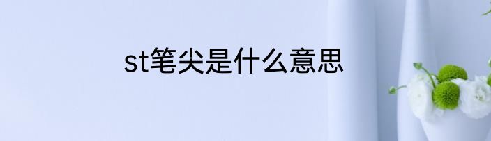 st笔尖是什么意思