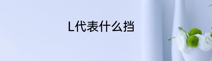 L代表什么挡