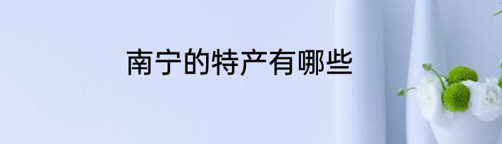 南宁的特产有哪些