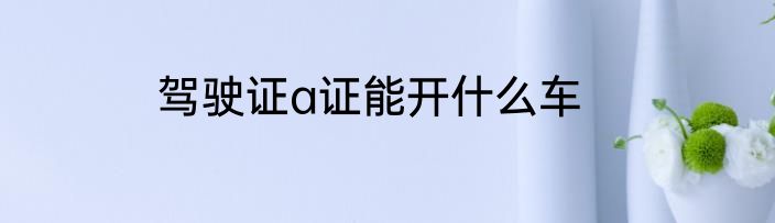 驾驶证a证能开什么车