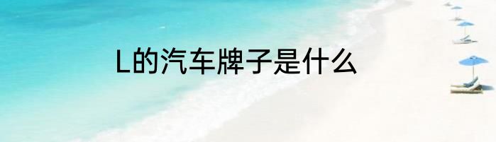 L的汽车牌子是什么
