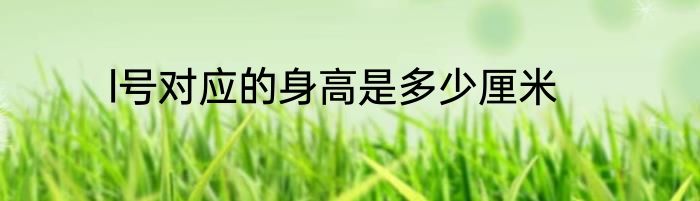 l号对应的身高是多少厘米