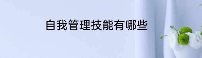 自我管理技能有哪些