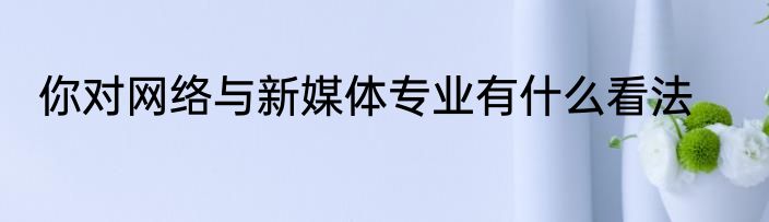 你对网络与新媒体专业有什么看法