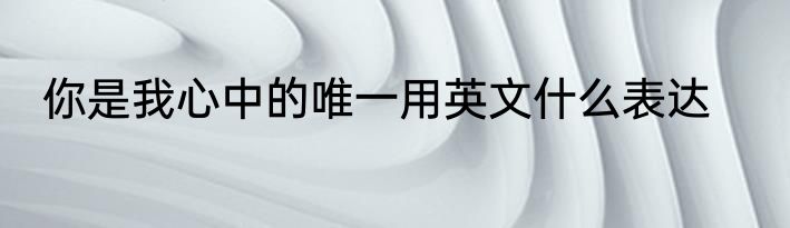 你是我心中的唯一用英文什么表达