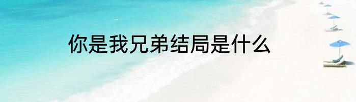 你是我兄弟结局是什么