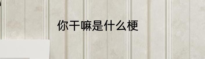 你干嘛是什么梗