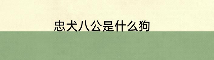 忠犬八公是什么狗