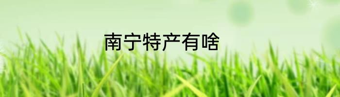 南宁特产有啥