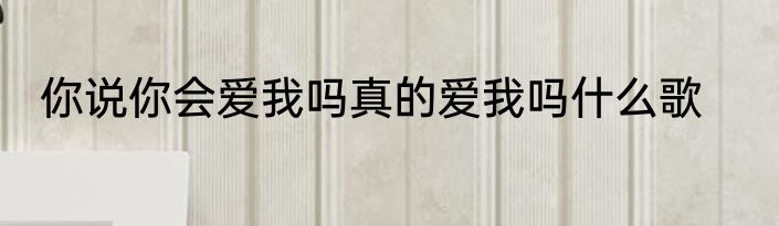 你说你会爱我吗真的爱我吗什么歌