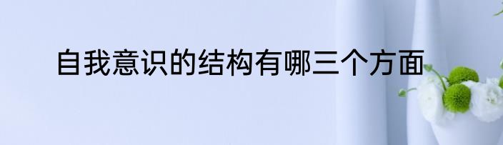 自我意识的结构有哪三个方面