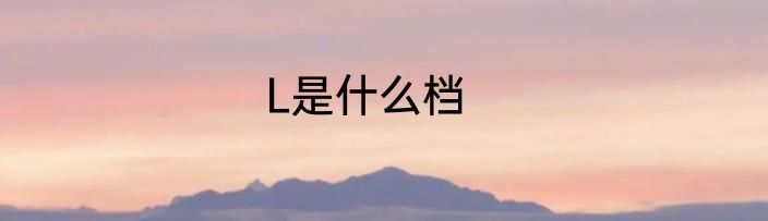 L是什么档