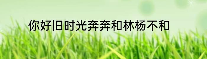 你好旧时光奔奔和林杨不和