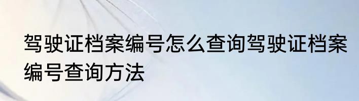 驾驶证档案编号怎么查询驾驶证档案编号查询方法