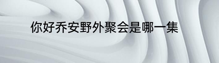 你好乔安野外聚会是哪一集