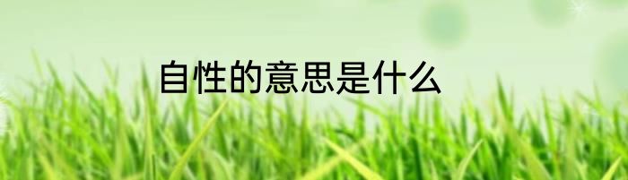 自性的意思是什么