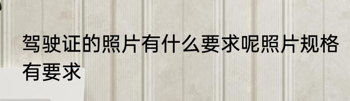 驾驶证的照片有什么要求呢照片规格有要求