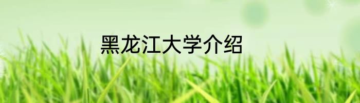 黑龙江大学介绍