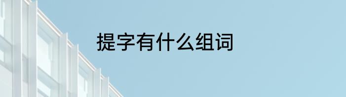 提字有什么组词