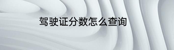驾驶证分数怎么查询