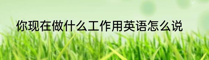 你现在做什么工作用英语怎么说