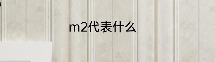 m2代表什么