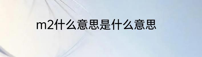 m2什么意思是什么意思