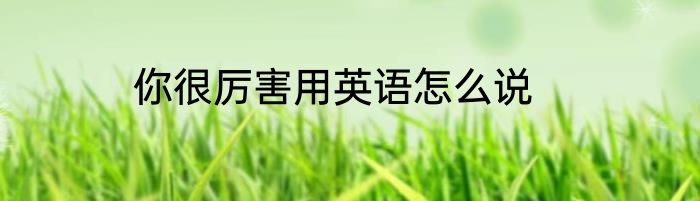 你很厉害用英语怎么说