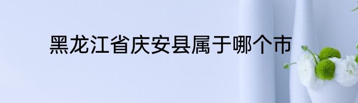 黑龙江省庆安县属于哪个市
