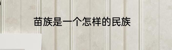 苗族是一个怎样的民族