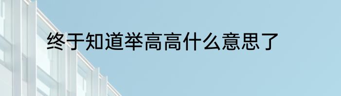 终于知道举高高什么意思了