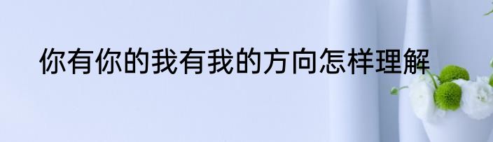 你有你的我有我的方向怎样理解