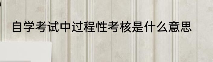 自学考试中过程性考核是什么意思