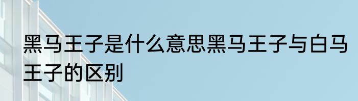黑马王子是什么意思黑马王子与白马王子的区别