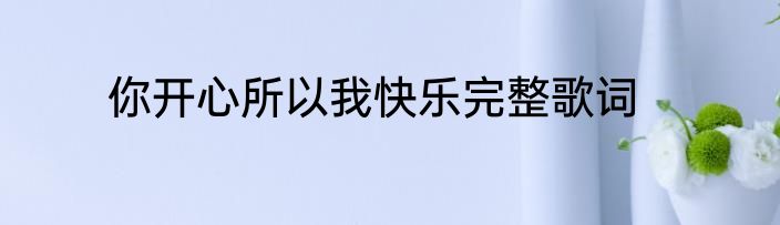 你开心所以我快乐完整歌词